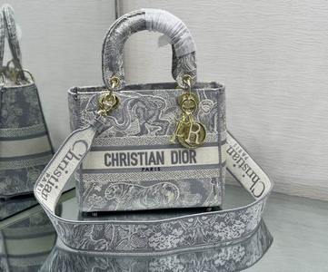 DIOR Handbags 581